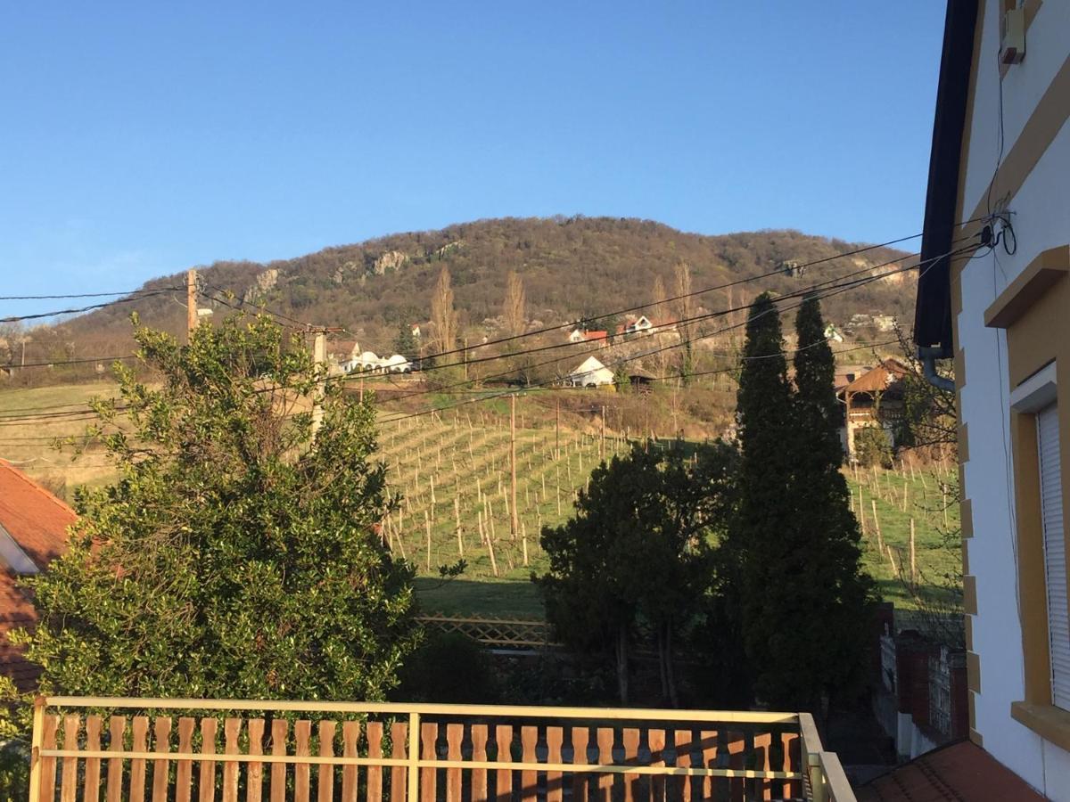 Bacchus Apartman - Borbarlang, Badacsony Badacsonytomaj Exteriör bild