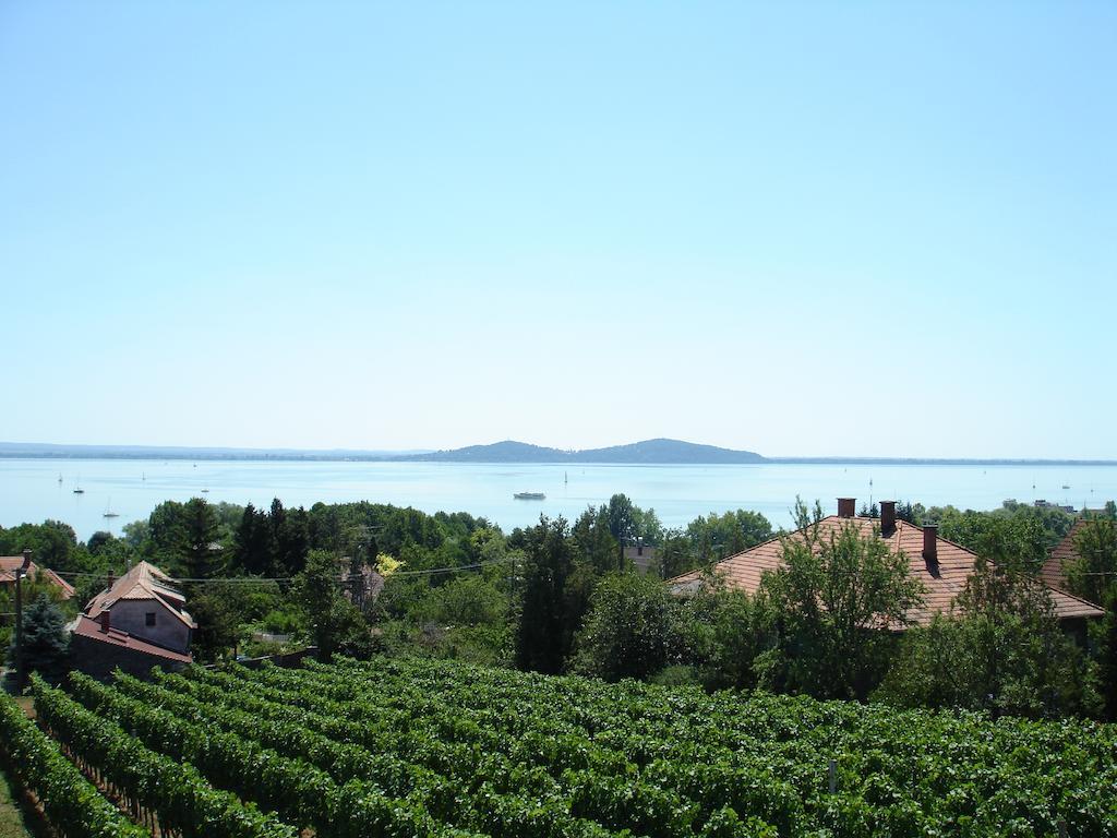 Bacchus Apartman - Borbarlang, Badacsony Badacsonytomaj Rum bild